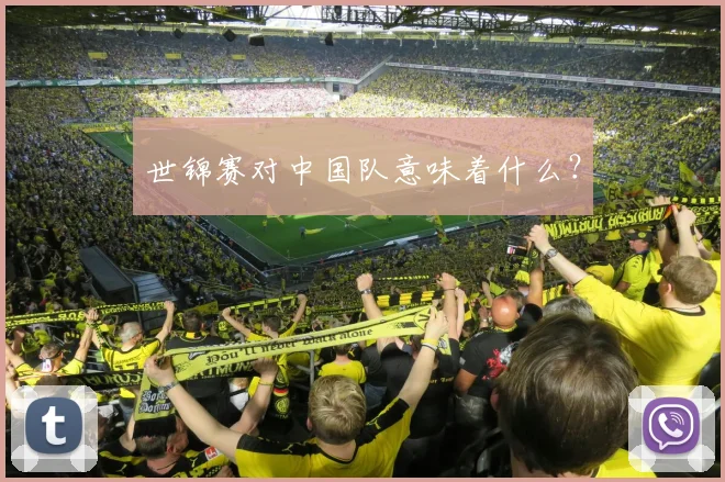 世锦赛对中国队意味着什么?