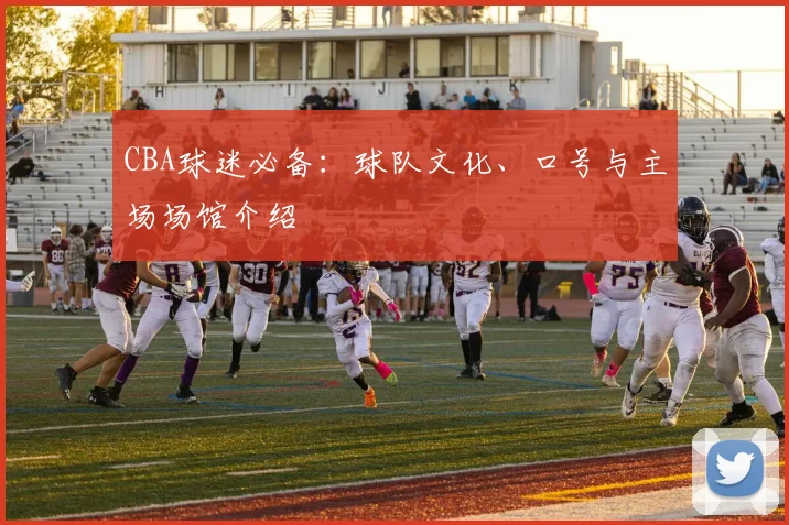CBA球迷必备:球队文化、口号与主场场馆介绍