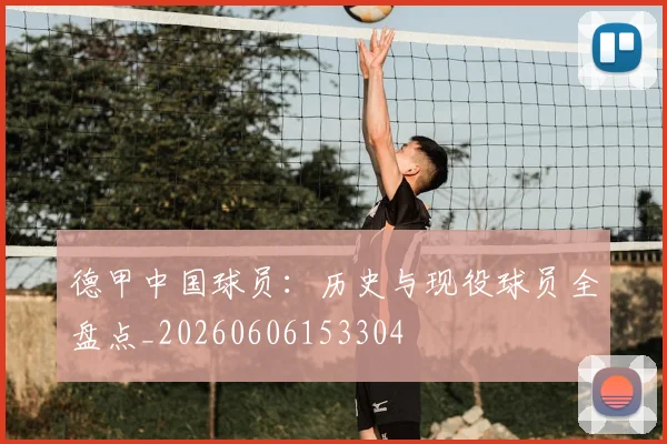 德甲中国球员:历史与现役球员全盘点_20260606153304