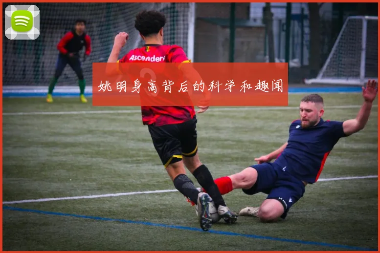 姚明身高背后的科学和趣闻